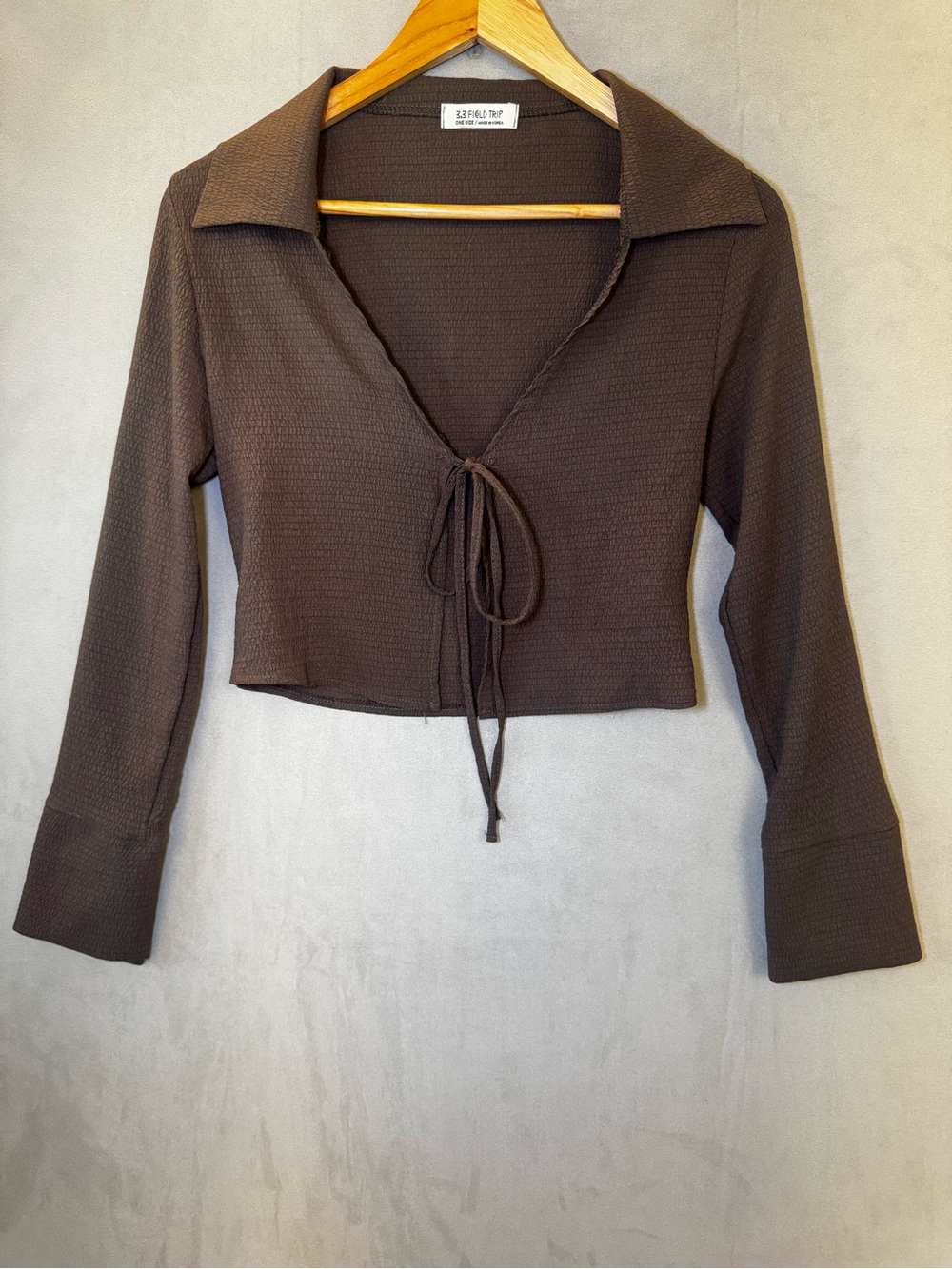 3.3 Field Trip Brown Tie Front Top One Size Collared Crop Y2K Korean